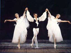 ����� "���������" 