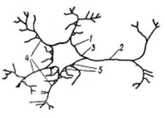 image001.png (4819 bytes)