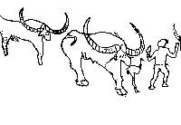 ����� ������� ��������. �., 1973.