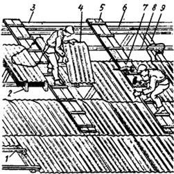 ������� ����� ����� ���������� ������