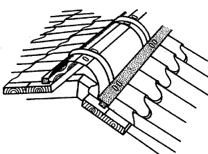 ����� ������������ ���������� ��������