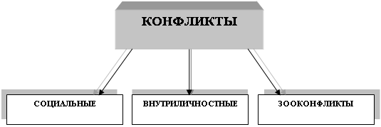 �������: ����������