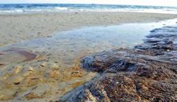 ��������: 1280324194_62824.jpg