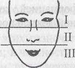 ��������: ������������ �������