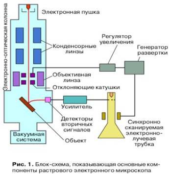 ��������: E:\�����\3 ���� 2 �������\��������\���2.JPG