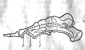 442.jpg (8320 bytes)