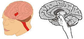 ������ ������������ ������