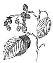 pic3b.JPG (7794 bytes)