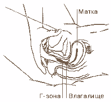 ����� �����������