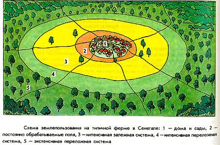 ��������� � �������� ����