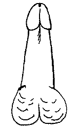 ����� �������� �����, ������������ ���� 