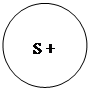 ����: S +
