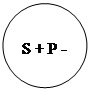 ����: S + P -
