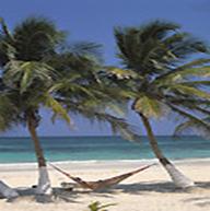 �������. ����� ������